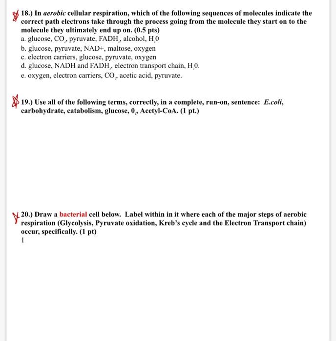 Solved 18.) In Aerobic Cellular Respiration, Which Of The 