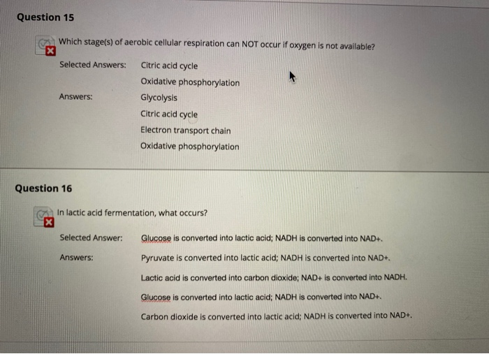 Solved I keep getting the wrong answers and need to learn | Chegg.com