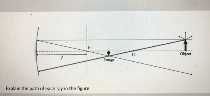 Solved Object Image Explain the path of each ray in the | Chegg.com