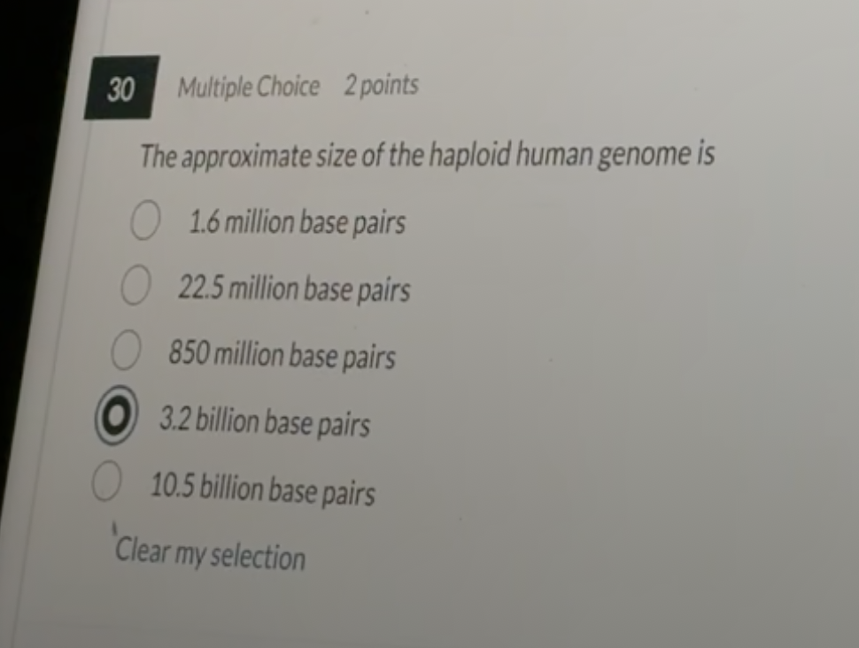 Solved Multiple Choice 2 pointsThe approximate size of the | Chegg.com