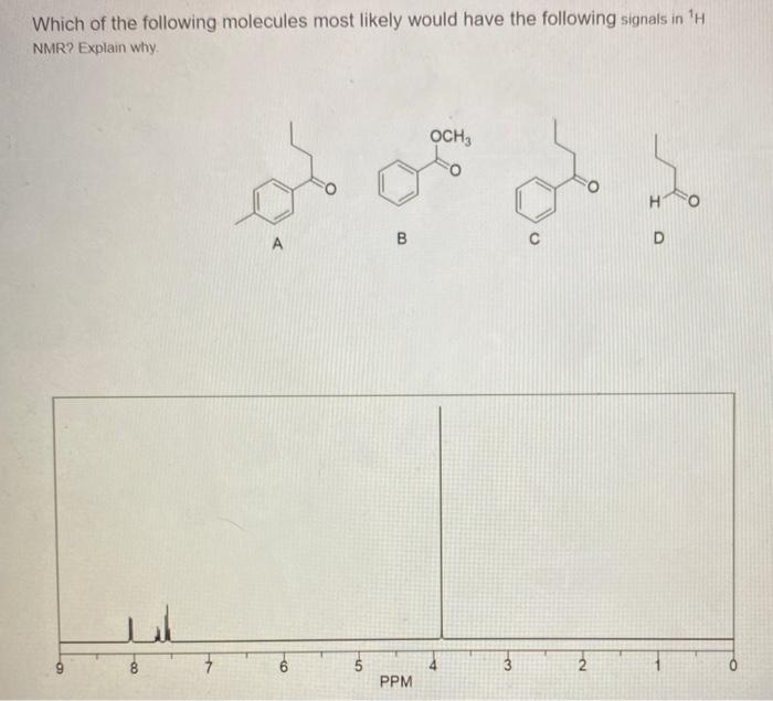 Solved Which of the following molecules most likely would | Chegg.com