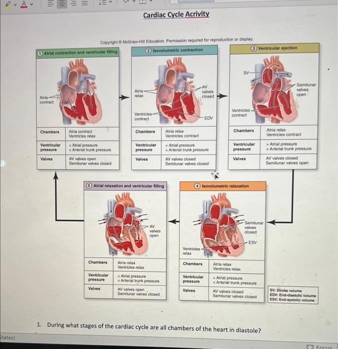 Solved 1. During what stages of the cardiac cycle are all | Chegg.com
