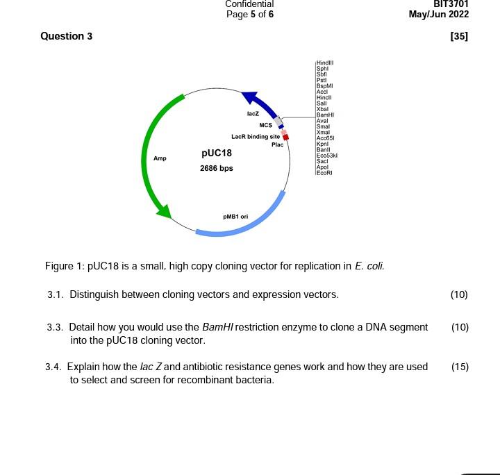 Solved 3.1. Distinguish between cloning vectors and