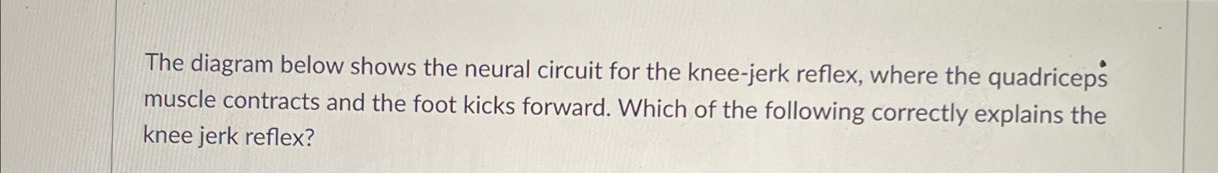 Solved The diagram below shows the neural circuit for the | Chegg.com