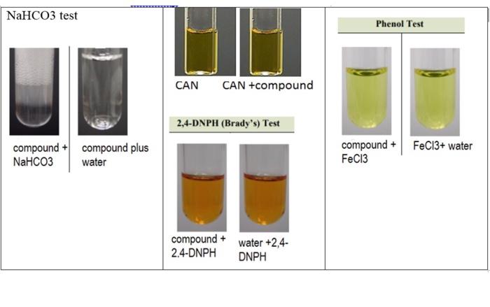 Solved water solubility: partly soluble Acid solution: | Chegg.com