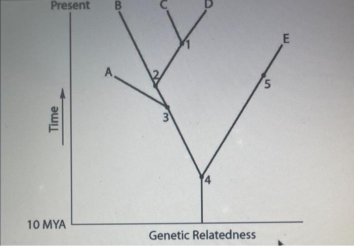 Solved Which of the following letters represents species | Chegg.com
