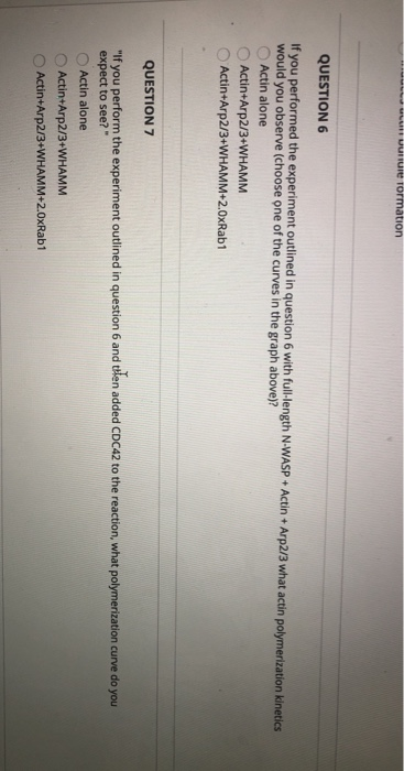 QUESTION 5 WHAMM is a nucleation promoting factor. | Chegg.com