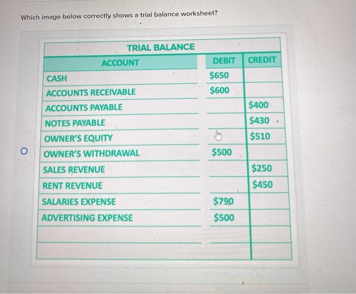 Solved Which image below correctly shows a trial balance | Chegg.com