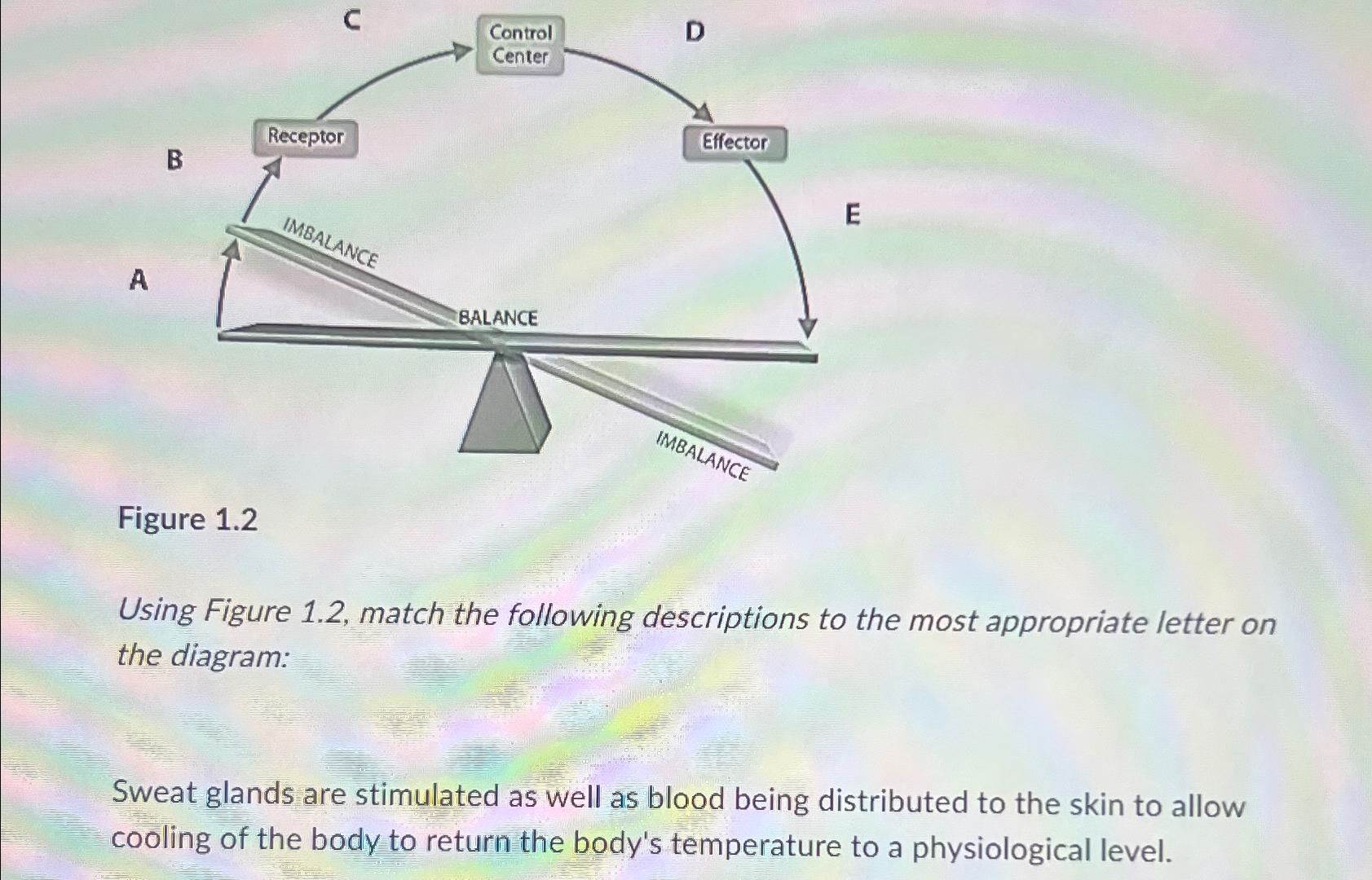 Figure 1.2Using Figure 1.2, ﻿match the following | Chegg.com