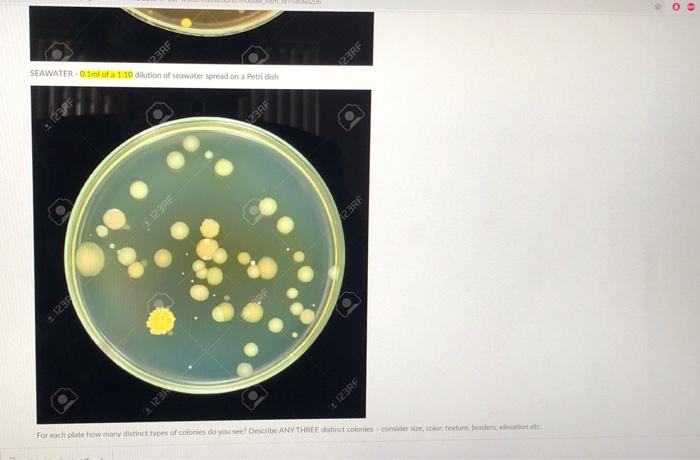 LAB ACTIVITY B - Measuring CFU in air and water (DO | Chegg.com