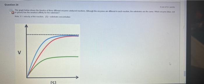 Solved Question 24 The graph below shows the kinetics of | Chegg.com