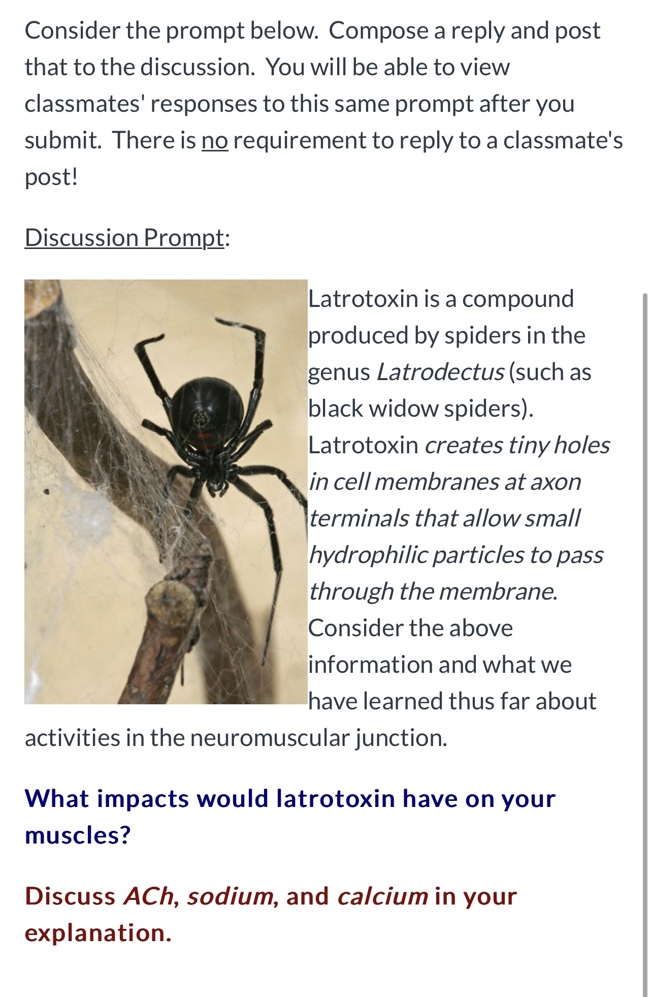 Solved Discussion Prompt:Latrotoxin is a compound produced | Chegg.com