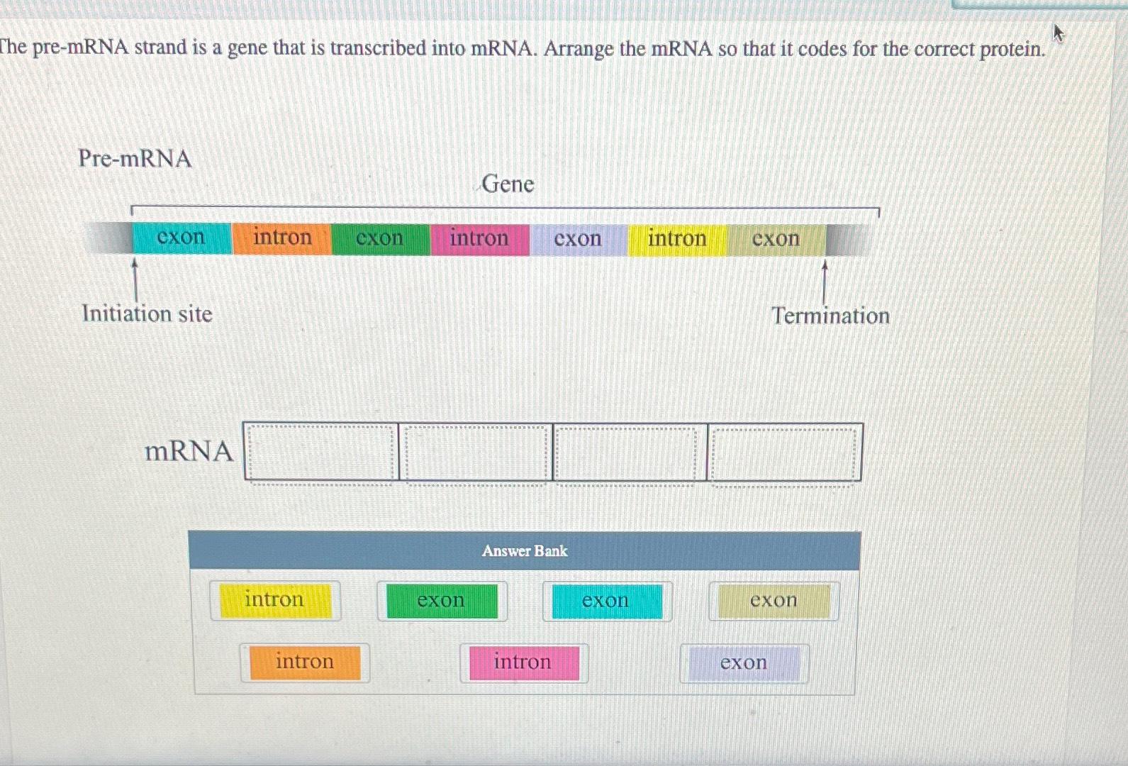 Cracking The Code How Pre Mrna Starts Protein Production - b4l8saf