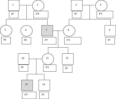 Solved 1. What is the pattern of inheritance in this | Chegg.com