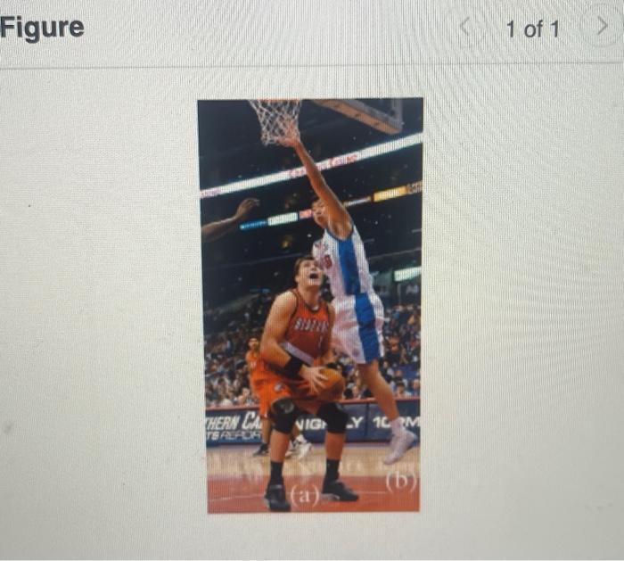 Solved Draw the free-body diagram for a basketball player | Chegg.com