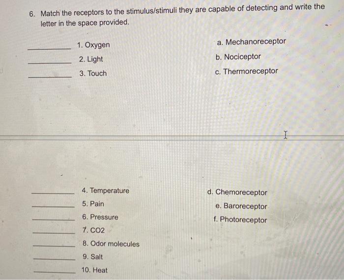 Solved 6. Match the receptors to the stimulus/stimuli they | Chegg.com
