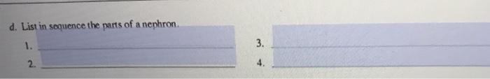 d. List in sequence the parts of a nephron 1. 3. 2.