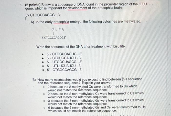 Solved 2 points) Below is a sequence of DNA found in the | Chegg.com