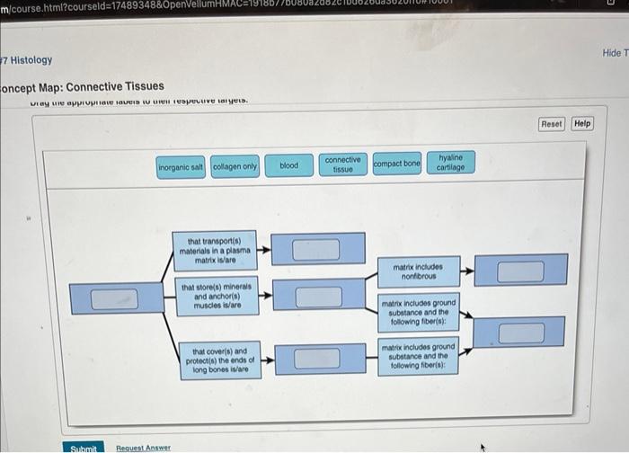 Solved oncept Map: Connective Tissues | Chegg.com