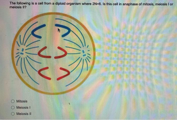 solved-the-following-is-a-cell-from-a-diploid-organism-where-chegg