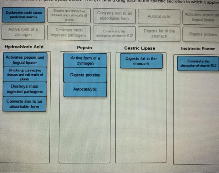 solved-read-each-function-of-gastric-juice-below-then-click-chegg