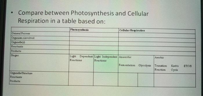 Solved Compare between Photosynthesis and Cellular | Chegg.com