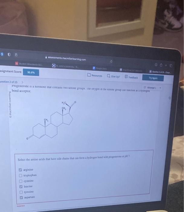 bond acceptor: Select the amino acids that have side | Chegg.com