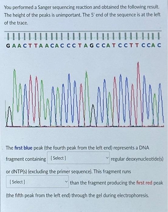 You performed a Sanger sequencing reaction and | Chegg.com