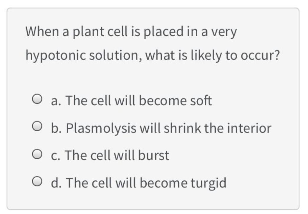 When A Plant Cell Is Placed In A Very Hypotonic Chegg Com