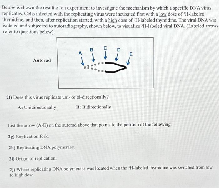 Solved Below Is Shown The Result Of An Experiment To | Chegg.com