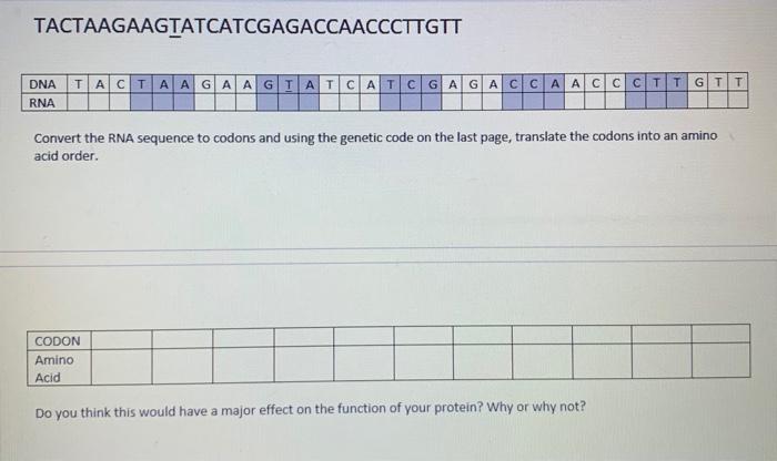 Solved 2. POINT MUTATIONS One type of mutation is called a | Chegg.com