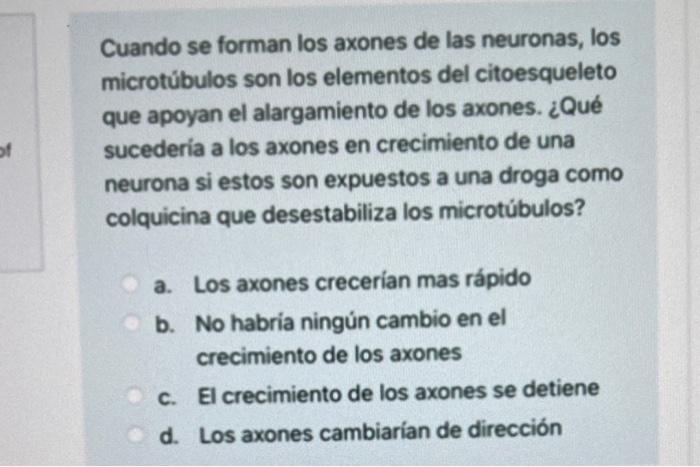 Cuando se forman los axones de las neuronas, los microtúbulos son los elementos del citoesqueleto que apoyan el alargamiento