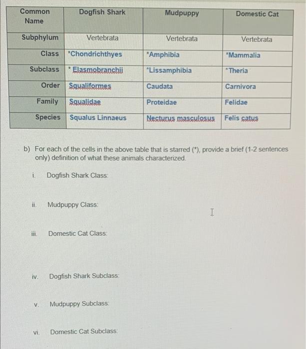 Solved Dogfish Shark Common Name Mudpuppy Domestic Cat