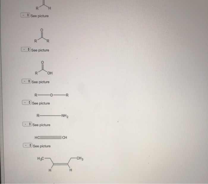 Solved Match The Following Molecules To Their Correct | Chegg.com