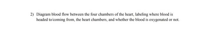 how does blood flow through the four chambers of the heart
