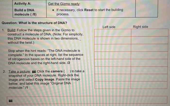 Gizmo Building Dna Answers - Student Exploration Food ...