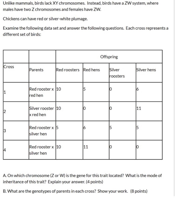 Solved Unlike Mammals Birds Lack Xy Chromosomes Instead Chegg Com