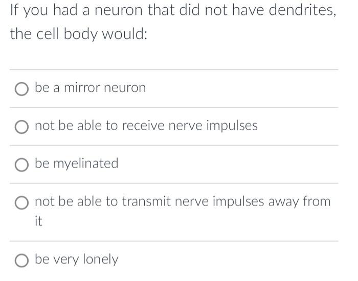 Solved If you had a neuron that did not have dendrites, the | Chegg.com