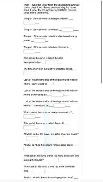Solved Use the letters from the diagram to answer the | Chegg.com