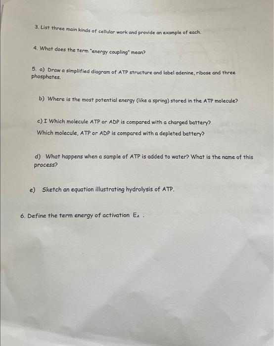 Solved 3. List three main kinds of cellular work and provide