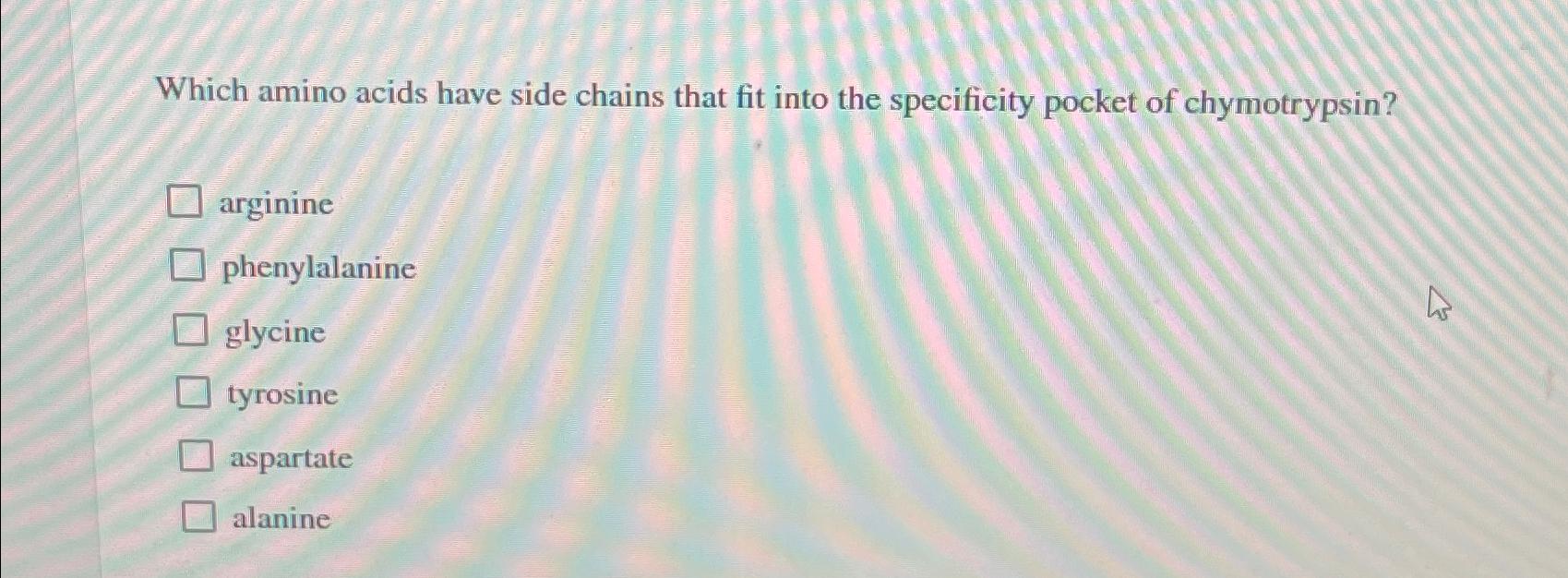 Solved Which amino acids have side chains that fit into the | Chegg.com