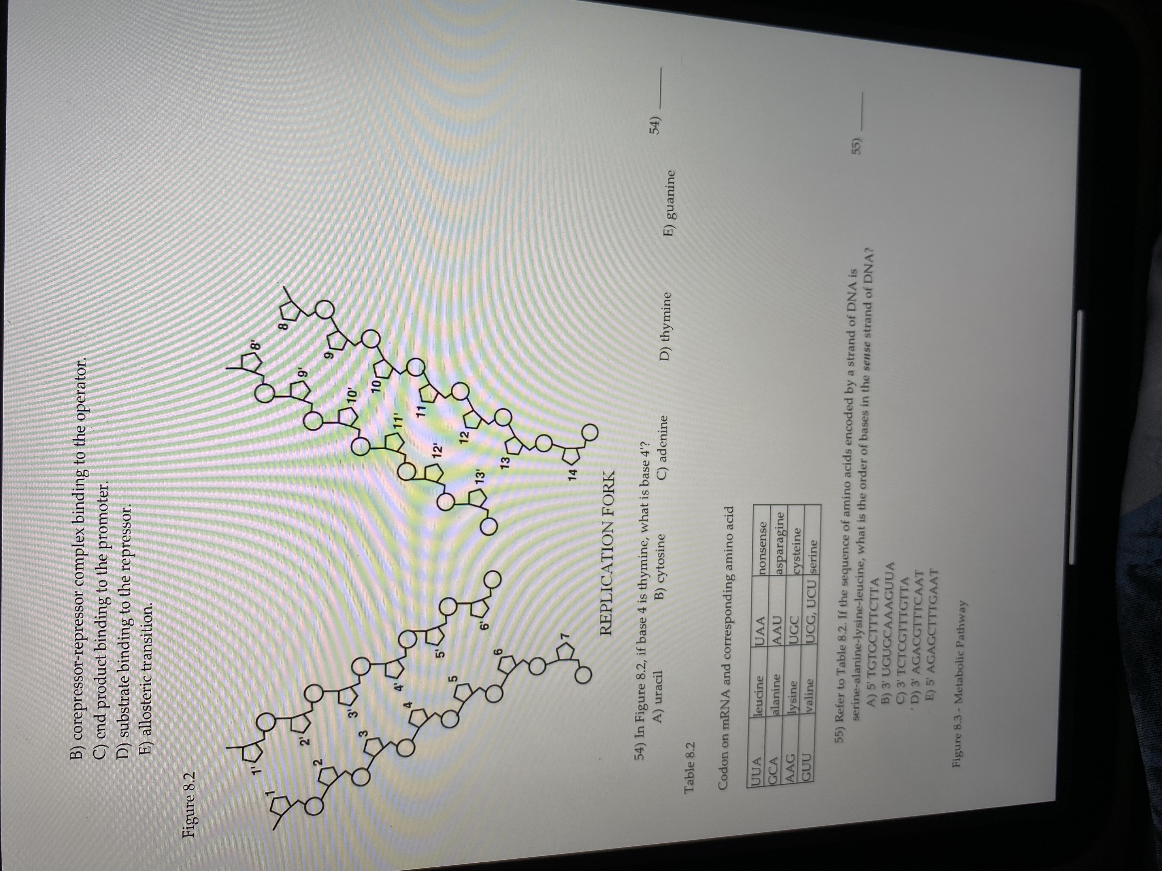 Solved B) ﻿corepressorrepressor complex binding to the