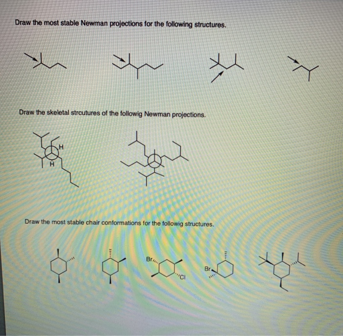 Solved Molecular Modeling Draw The Most Stable Newman 