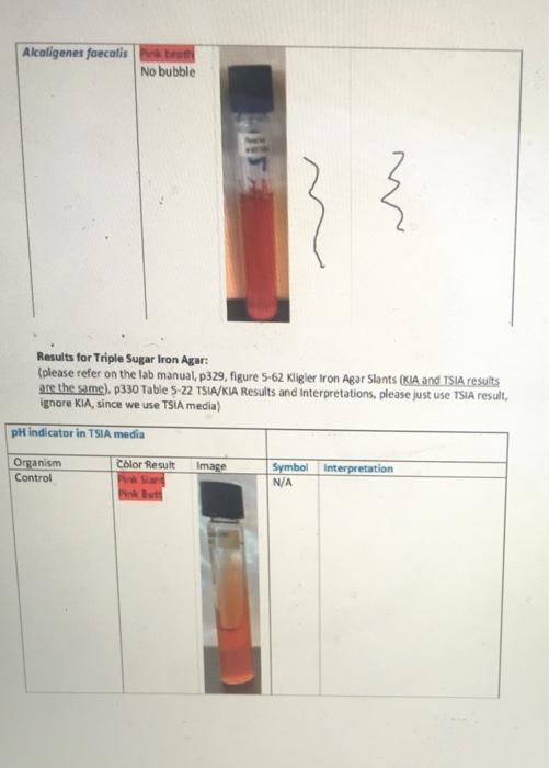 Solved Week 5 Lab assignment Please read the following lab | Chegg.com