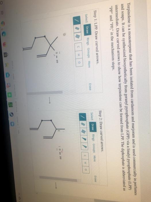 Solved Terpinolene is a monoterpene that has been isolated | Chegg.com