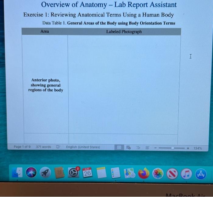 Overview of Anatomy - Lab Report Assistant
Exercise 1: Reviewing Anatomical Terms Using a Human Body
Data Tahle 1 Ceneral A r