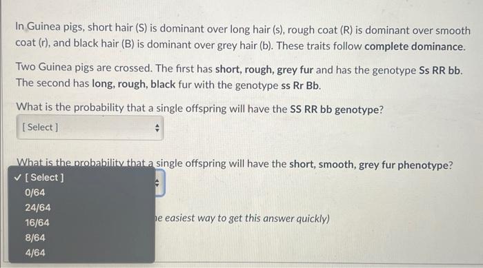 Solved In Guinea pigs, short hair (S) is dominant over long | Chegg.com
