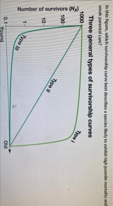 Solved In This Figure, Which Survivorship Curve Best | Chegg.com