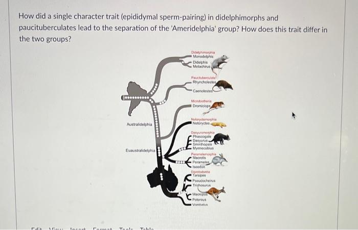 Solved How did a single character trait (epididymal | Chegg.com