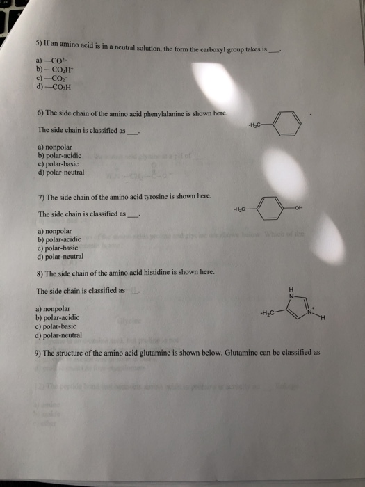 Solved 5) If an amino acid is in a neutral solution, the | Chegg.com